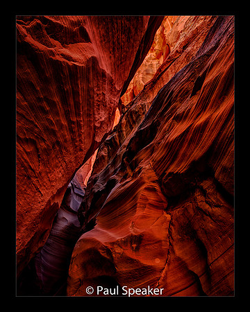 _04B9656_57_58_59_60Nat-Enh CynX-21 16x20a