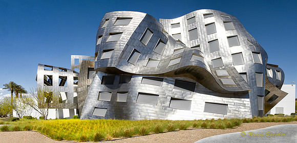 PAN Challenge Summer Fun  v3 Cleveland Clinic Lou Ruvo Center for Brain Health Frank Gehry