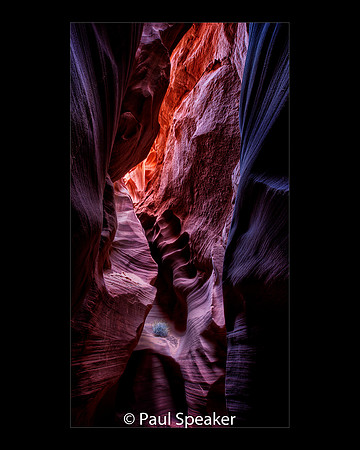 _04B0592_3_4_5_6Nat-Enh SecretCyn-04b