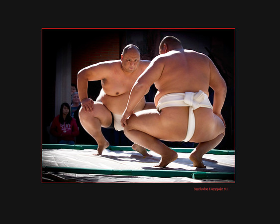 Sumo Showdown