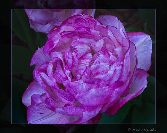 PAN Challenge Summer Fun  untitled shoot-6956