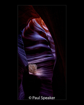 _04B0582_3_4_5_6Nat-Enh SecretCyn-06 16x20a