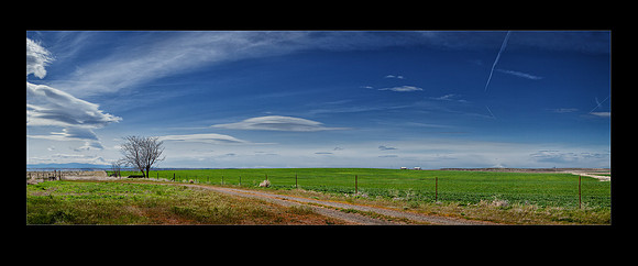IMG_6783-10 ContrailsLenticularsOverGrassValley 24x10c