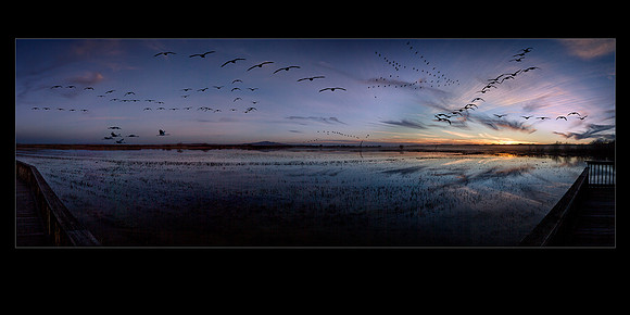 IMG_8142-52 FlightDecksunset 20x10f
