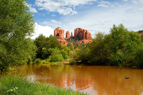 PAN Challenge Summer Fun  untitled--2