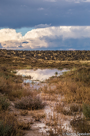 Nancy-_MG_1677chaco_canyon
