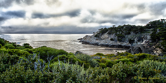 PAN Challenge Summer Fun  20140626-2014-Junemonterey , Aquarium.--265