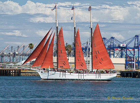 PAN Challenge Summer Fun  20140820-untitled shoot-1091681