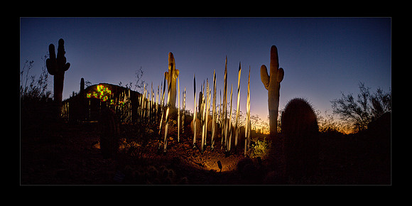 IMG_6442-53Nat ChihulySunset_01 20x10b