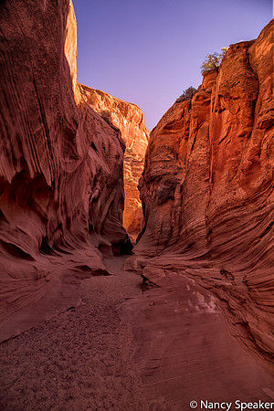 Nancy-Secret canyon  Hummwe ADVENTURES 20141028-20141028-IMG_1126