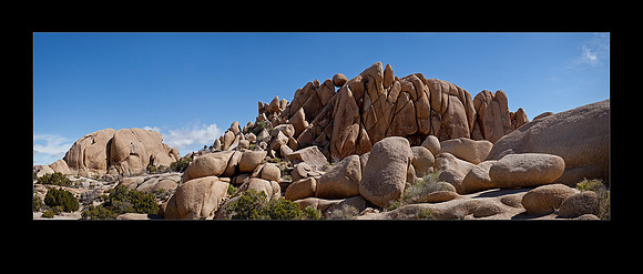 IMG_9030-42_JTNPJumboRocks-Pano 01 20x16