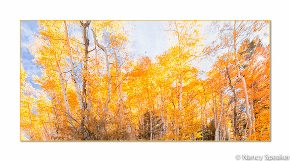 Nancy-20141005-w2MG_2865October 05, 2014October142014