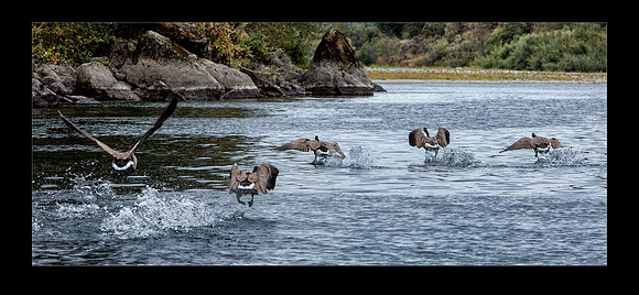 _MG_1523-24a Takeoff 20x16