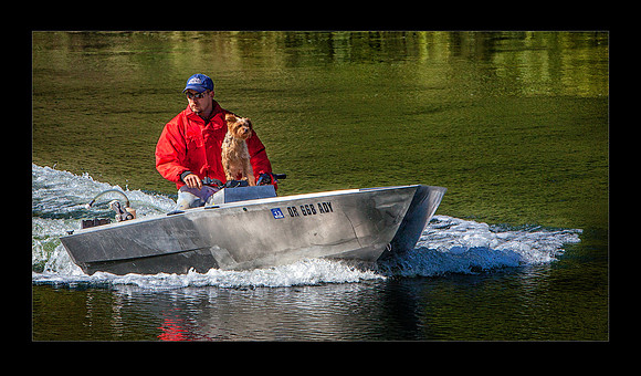 _MG_1368b DogIsMyCopilot 20x16