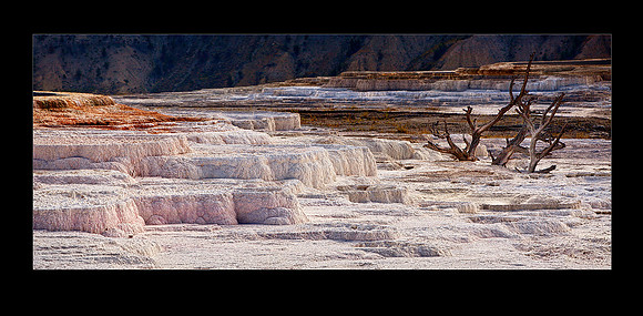 _MG_2816 terraces 20x16a