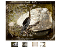 image and textures 1809 1024x 768
