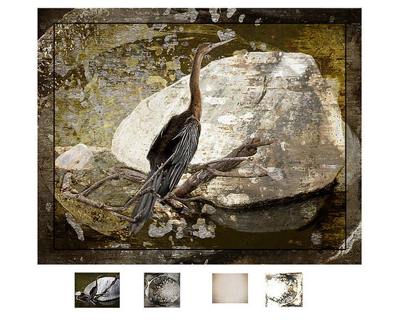 image and textures 1809 1024x 768