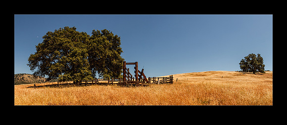 IMG_3619-37 Julianranchpano 20x16c