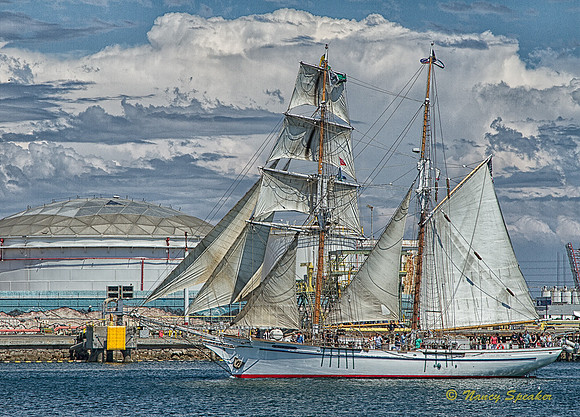 PAN Challenge Summer Fun  20140820-untitled shoot-0972226