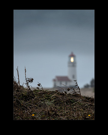 _MG_1130 CapeBlancoLighthouse 16x20